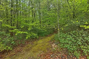 441 Ponemah Hill Rd, Milford, NH 03055 - Photo 43