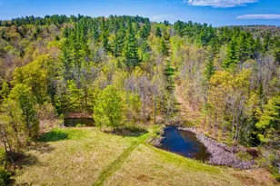 172 Hurd Rd, Lempster, NH 03605 - Photo 55