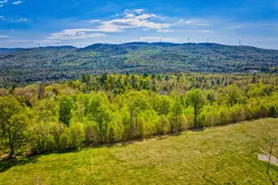 172 Hurd Rd, Lempster, NH 03605 - Photo 59