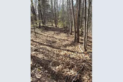 R29L9 Roxbury #Lot 9, Meredith, NH 03253 - Photo 19