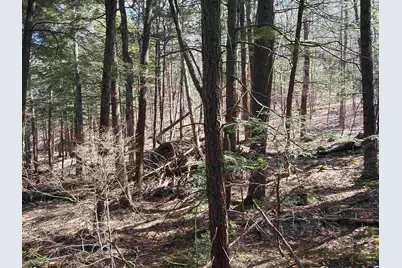 R29L9 Roxbury #Lot 9, Meredith, NH 03253 - Photo 23