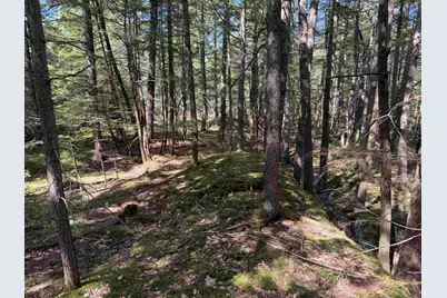 R29L9 Roxbury #Lot 9, Meredith, NH 03253 - Photo 31