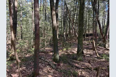 R29L9 Roxbury #Lot 9, Meredith, NH 03253 - Photo 29