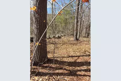 R29L9 Roxbury #Lot 9, Meredith, NH 03253 - Photo 17