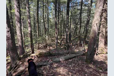 R29L9 Roxbury #Lot 9, Meredith, NH 03253 - Photo 27
