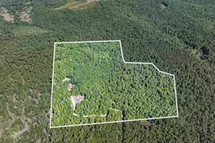 351 New Boston Rd, Francestown, NH 03043 - Photo 11