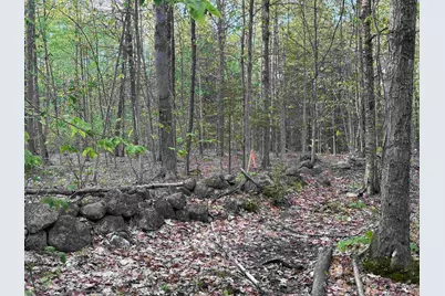 Lot 80 Currier Road, Candia, NH 03034 - Photo 9