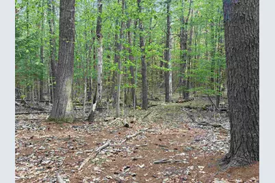Lot 80 Currier Road, Candia, NH 03034 - Photo 13