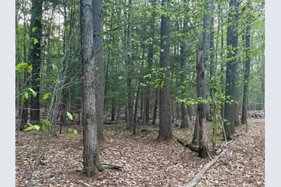 Lot 80 Currier Road, Candia, NH 03034 - Photo 21
