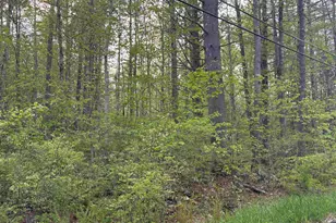 Lot 80 Currier Rd, Candia, NH 03034 - Photo 1