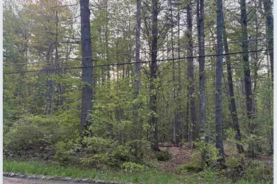 Lot 80 Currier Road, Candia, NH 03034 - Photo 3