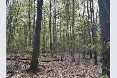 Lot 80 Currier Road, Candia, NH 03034 - Photo 7