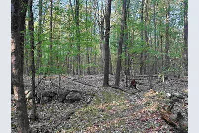 Lot 80 Currier Road, Candia, NH 03034 - Photo 19