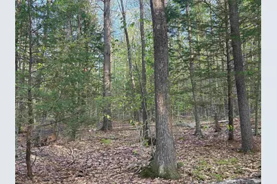 Lot 80 Currier Road, Candia, NH 03034 - Photo 11
