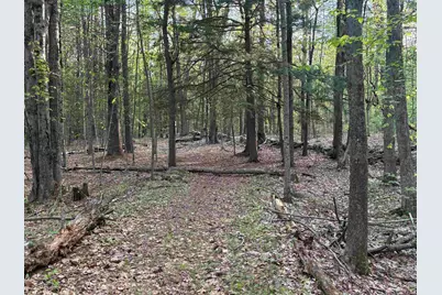 Lot 80 Currier Road, Candia, NH 03034 - Photo 17