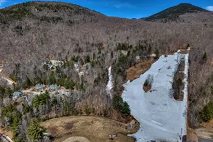 14 Hillside Cir, Lincoln, NH 03251 - Photo 43