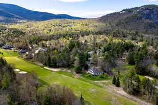 103 Samuel Hale Dr, Hale's Location, NH 03860 - Photo 53