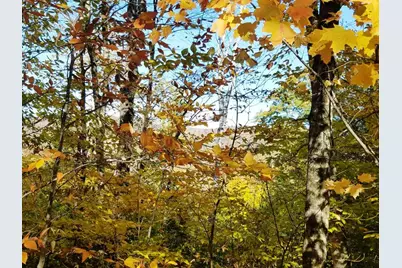 12-10 Boulder Drive, Campton, NH 03223 - Photo 3