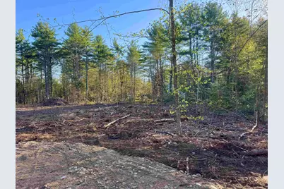 00 Gray Fox Road, Effingham, NH 03882 - Photo 7