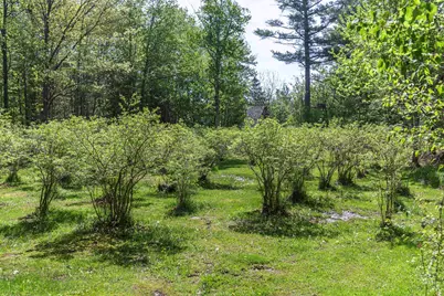 49 Moss Road, Hopkinton, NH 03229 - Photo 3