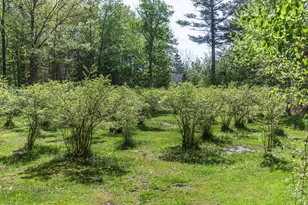 49 Moss Rd, Hopkinton, NH 03229 - Photo 3