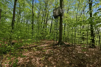 339 George Road, Hebron, NH 03241 - Photo 13