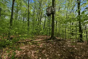 339 George Rd, Hebron, NH 03241 - Photo 25