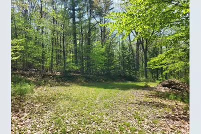 390 Matthews Road #6, Alexandria, NH 03222 - Photo 21