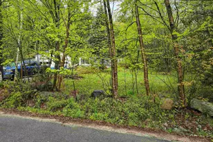 106 Waldron Hill Rd, Warner, NH 03278 - Photo 1