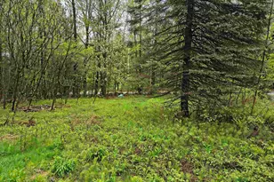 106 Waldron Hill Rd, Warner, NH 03278 - Photo 5