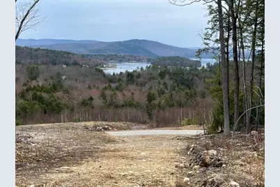 207 Overlook Drive #217-133-1, Bristol, NH 03222 - Photo 15