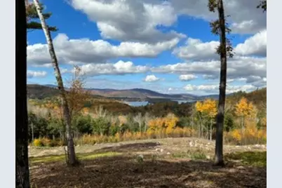 207 Overlook Drive #217-133-1, Bristol, NH 03222 - Photo 3