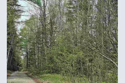 Lot 10.1 Wallace Hill Road, Franconia, NH 03580 - Photo 23