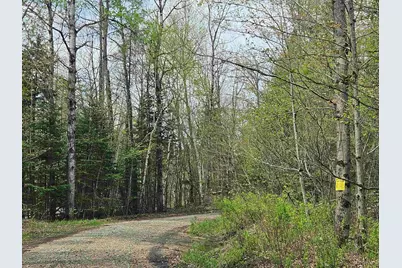 Lot 10.1 Wallace Hill Road, Franconia, NH 03580 - Photo 21