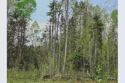 Lot 10.1 Wallace Hill Road, Franconia, NH 03580 - Photo 11