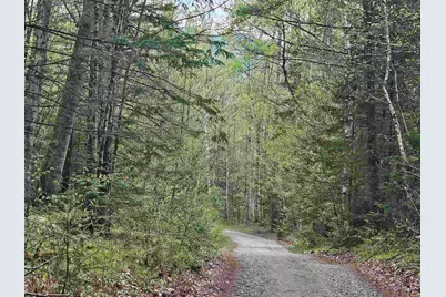 Lot 10.1 Wallace Hill Road, Franconia, NH 03580 - Photo 31