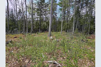 Lot 10.1 Wallace Hill Road, Franconia, NH 03580 - Photo 3