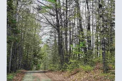 Lot 10.1 Wallace Hill Road, Franconia, NH 03580 - Photo 25
