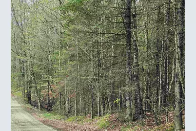 Lot 10.1 Wallace Hill Road, Franconia, NH 03580 - Photo 17
