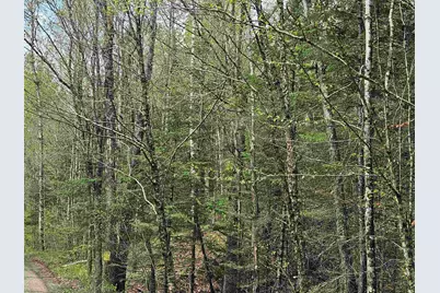 Lot 10.1 Wallace Hill Road, Franconia, NH 03580 - Photo 19