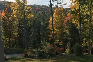 192 Mill Brook Rd, Landaff, NH 03585 - Photo 53