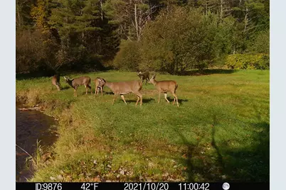 192 Mill Brook Road, Landaff, NH 03585 - Photo 51