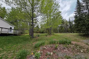 317 Potato Rd, Enfield, NH 03748 - Photo 7