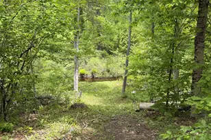 316 Tucker Mill Rd, New Boston, NH 03070 - Photo 3
