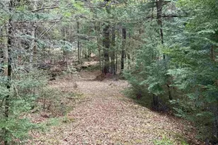37 Maple Rd, Canaan, NH 03741 - Photo 31
