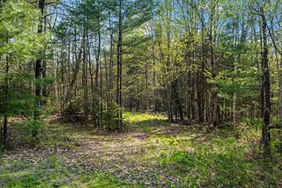 82 Bear Paw Trail, Littleton, NH 03561 - Photo 3
