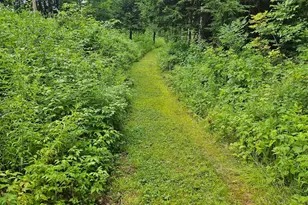 253 Ramsay Hill Rd, Walpole, NH 03608 - Photo 57