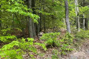 67 Old Pound Rd, Effingham, NH 03882 - Photo 25