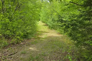 764 Nh Route 3A, Hill, NH 03243 - Photo 55