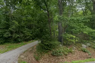 115 New Rye Rd, Epsom, NH 03234 - Photo 3